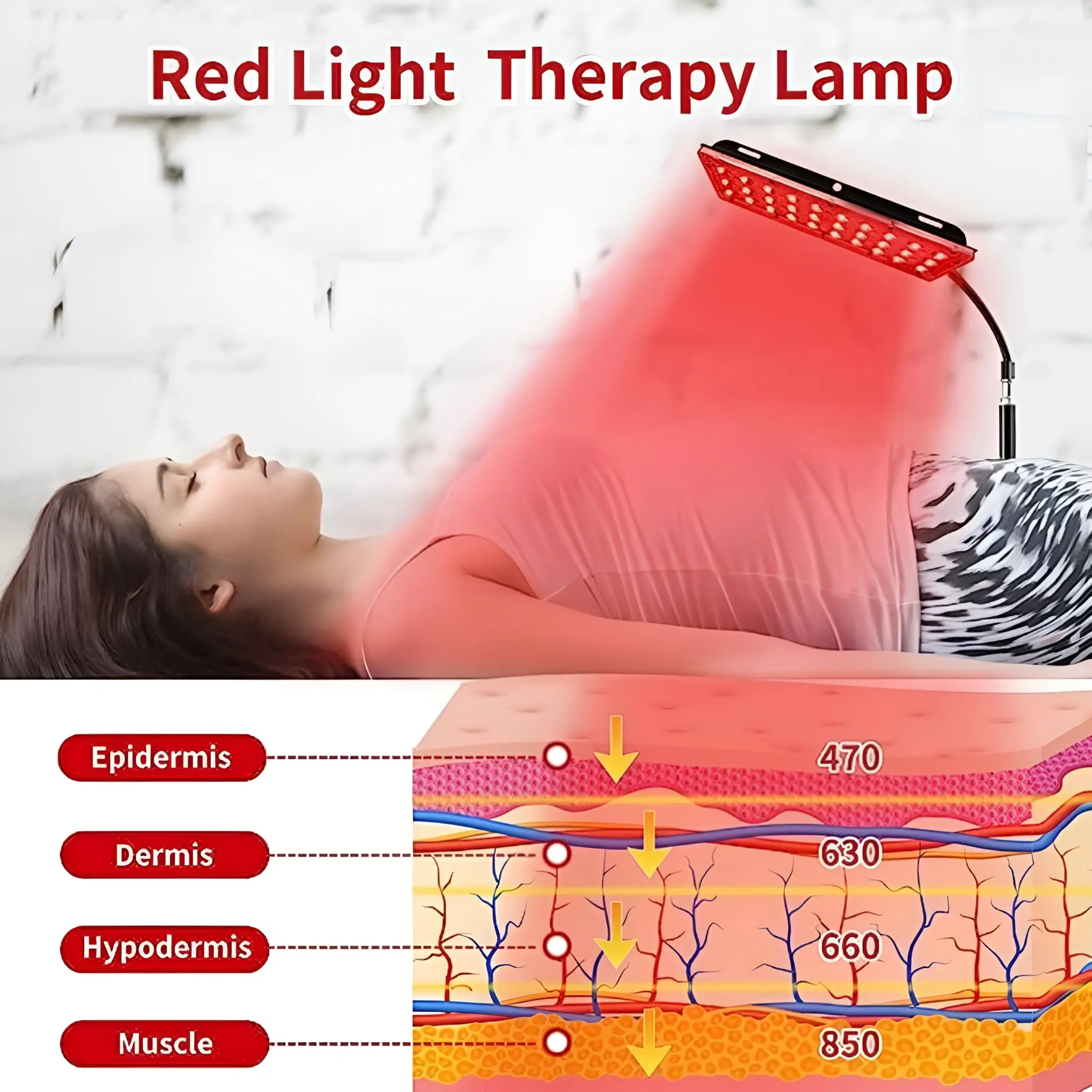 (BUNDLE) Body Recovery Light Pack – Full-Body Red Light Duo - Image 5